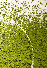 Bálsamo Labial Born Lippy Matcha Latte 10 ml