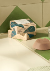 Champô Sólido Ginger 60 g