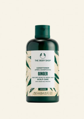 Condicionador Ginger 250 ml Condicionador Ginger 250 ml