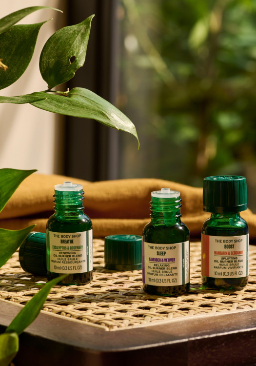 Óleo para Queimador Sleep 10 ml