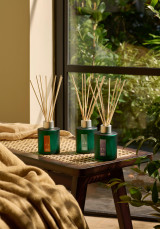 Difusor Boost 125 ml