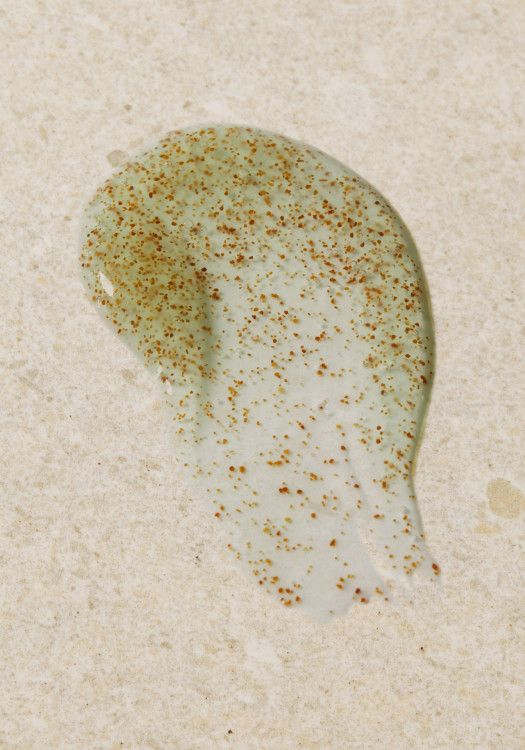 Esfoliante Facial Seaweed 125 ml