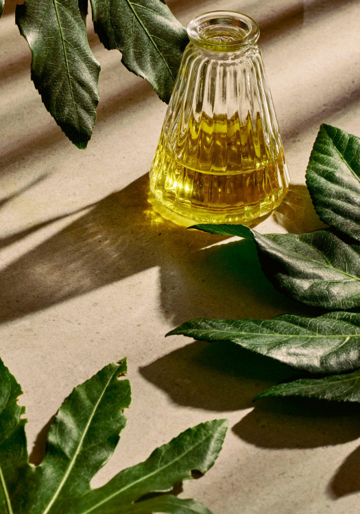 Creme de Mãos Hemp 100 ml